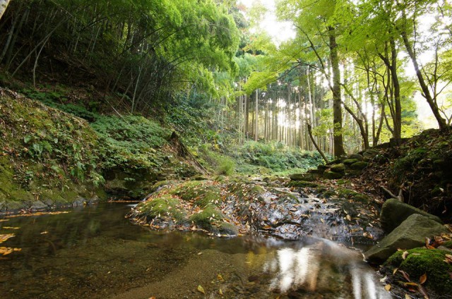 #iwami #shimane #japan