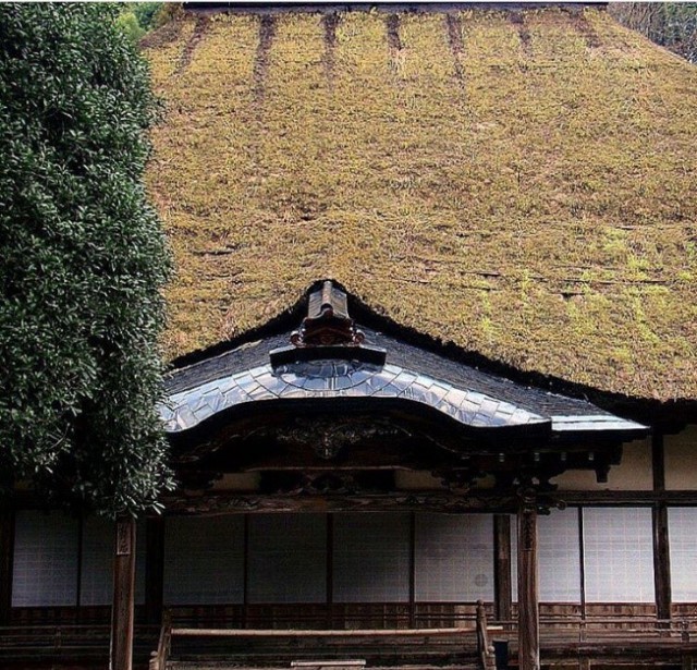 Japan, Japanese, shrine, tradition, traditional, historical, nature