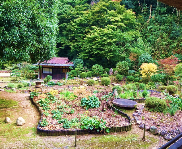 Japan, Japanese, shrine, tradition, traditional, historical, nature